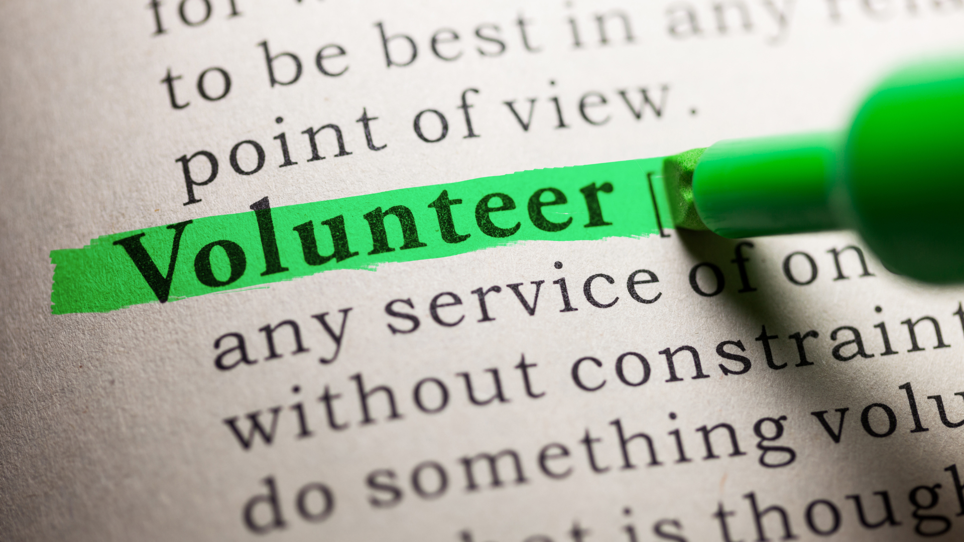 Volunteer Schriftzug CANVA